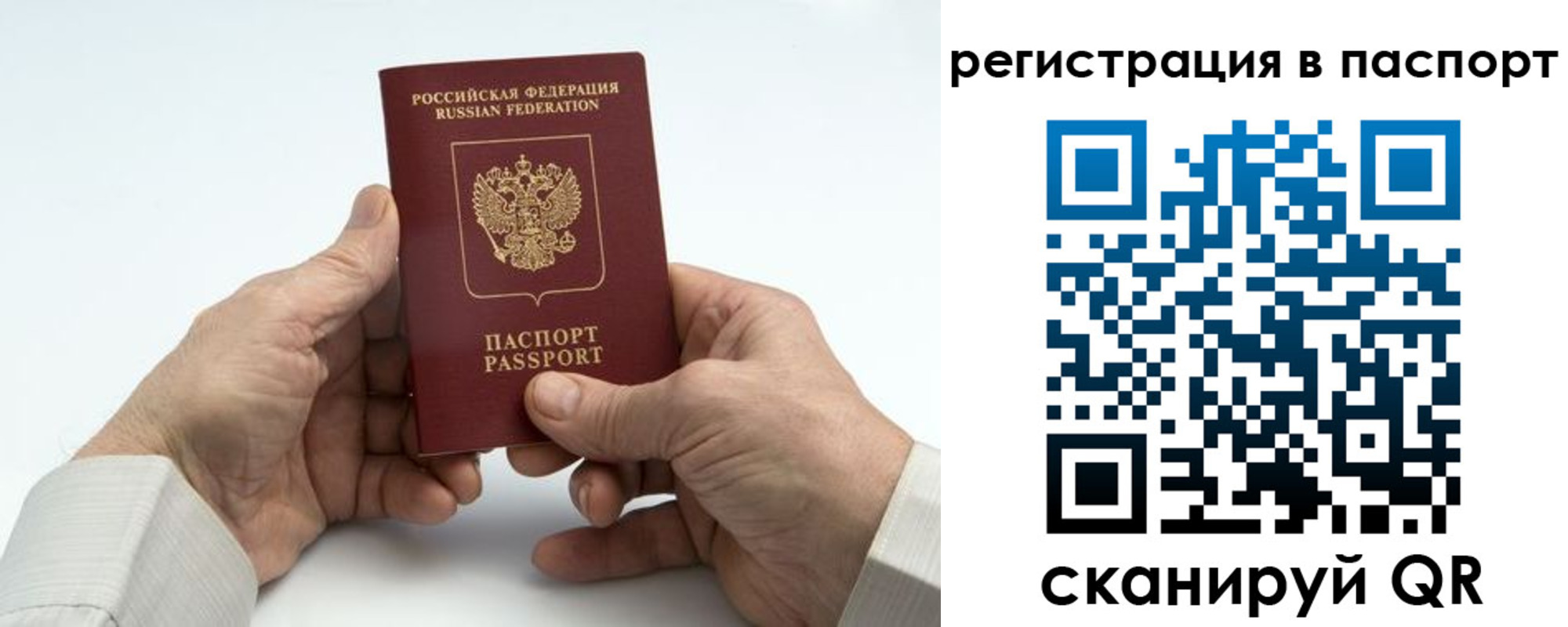 где прописаться в Кировске